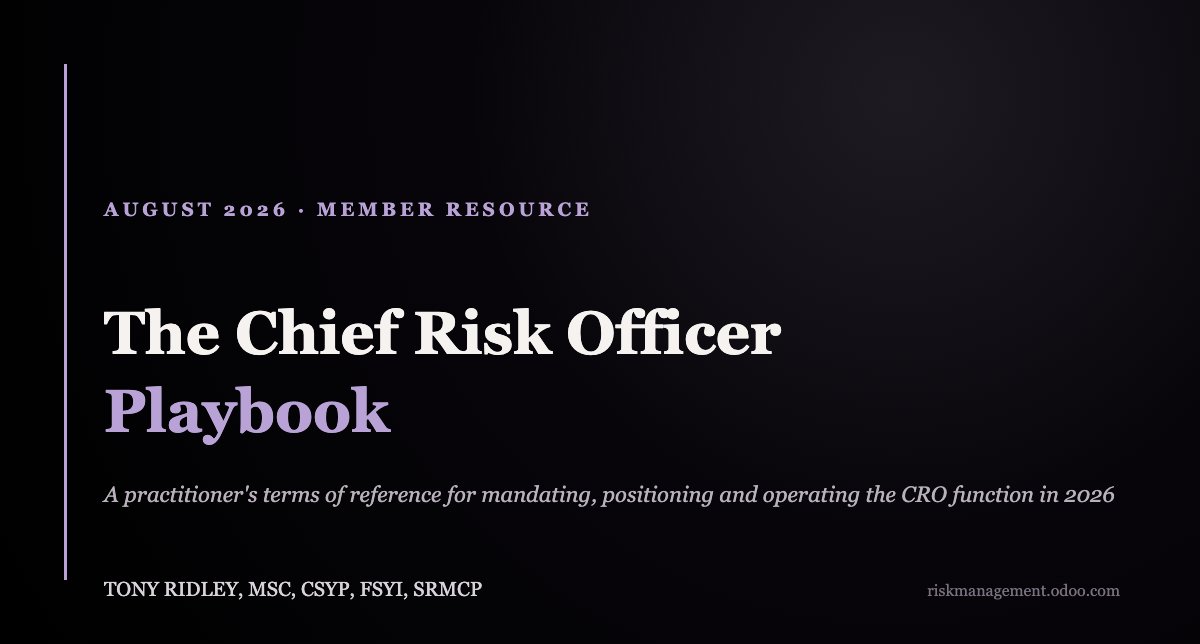 The Chief Risk Officer Playbook